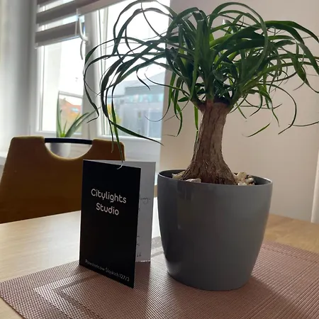 Citylight Appartement