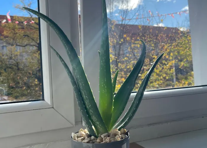 Appartamento Citylight